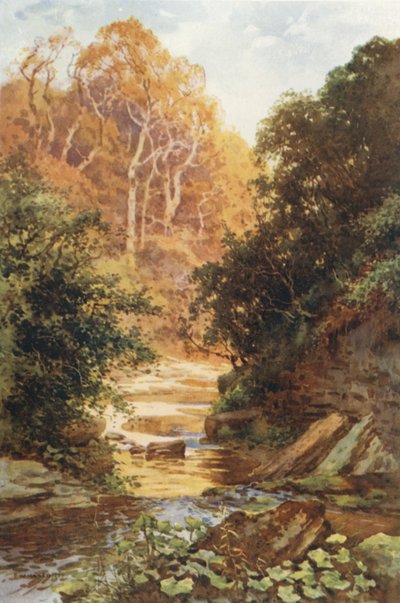 Hayburn Wyke (カラーリソ) 作： Ernest William Haslehust