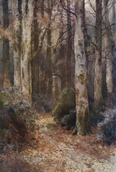 「大聖堂」（カラーリソ） 作： Ernest William Haslehust