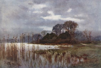 ミル池、ボーリュー（カラーリソ） 作： Ernest William Haslehust