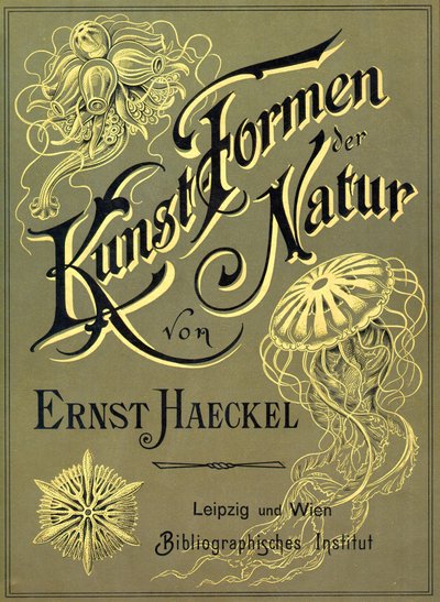 Ernst Haeckelによる「Art Forms of Nature」の表紙 作： Ernst (after) Haeckel