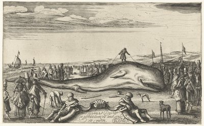 1614年、ノールトウェイクの浜辺に座礁したマッコウクジラ 作： Esaias van de Velde