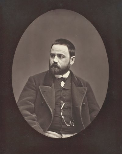 エミール・ゾラ フランスの小説家、劇作家、ジャーナリスト、1840～1902年頃。 1876年。 作： Etienne Carjat