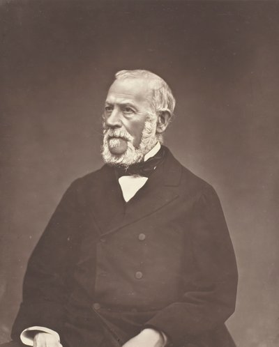 アンリ・マルティン、c。 1876年。 作： Etienne Carjat