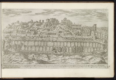 パラティーノの丘とローマのチルコ マッシモ 古代の建物 (シリーズのタイトル) I vestigi dell