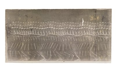 マンウォーキング、1882年 作： Etienne Jules Marey