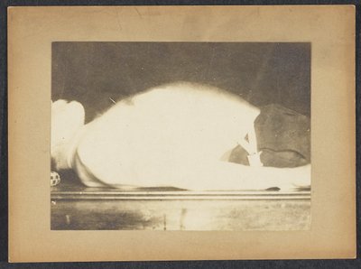 呼吸の研究におけるマリー 作： Etienne Jules Marey