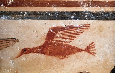一羽の鳥(フレスコ画の詳細、紀元前530年) 作： Etruscan
