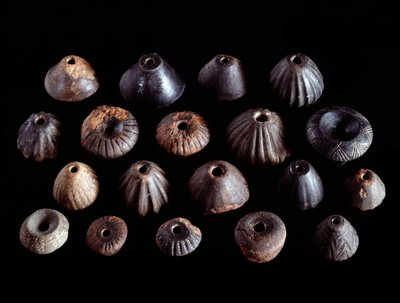 エトルリア文明：ポプロニア、サンセルボーンの墓1のテラコッタフサイオリ-紀元前7世紀 作： Etruscan