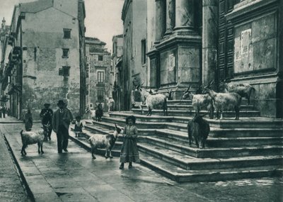 大聖堂、パレルモ、シチリア島、イタリア、1927年の階段にヤギ 作： Eugen Poppel