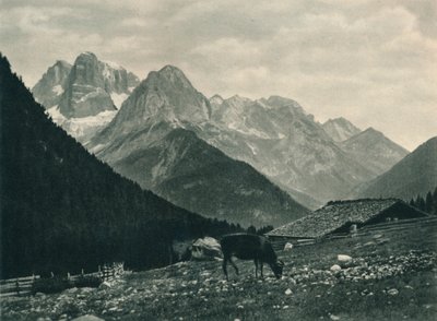高山の牧草地、マドンナディカンピリオ、ドロミテ、イタリア、1927年のブレンタグループのビュー 作： Eugen Poppel