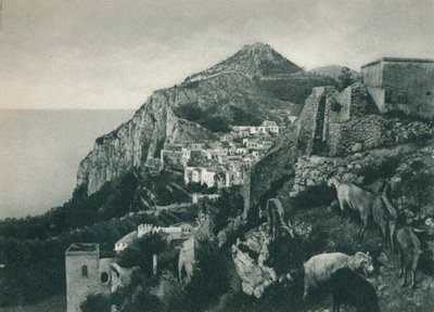 モンテソラーロ、カプリ島、イタリア、1927年と海の景色 作： Eugen Poppel