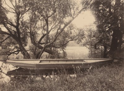 コローの池、ヴィル・ダヴレー、1900-1910年（写真 作： ウジェーヌ・アジェ