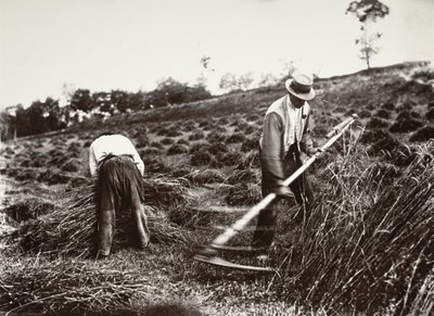  作： Eugène Atget