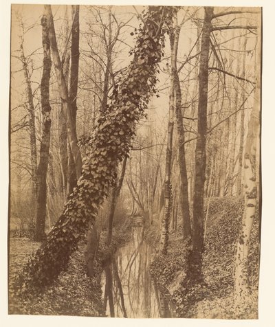  作： Eugène Atget