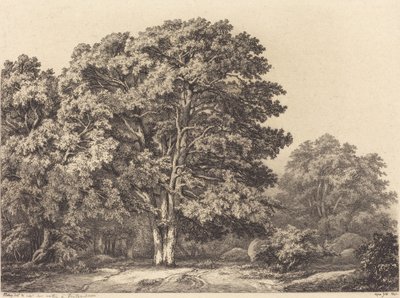 森への入り口、1840年。 作： Eugene Bléry