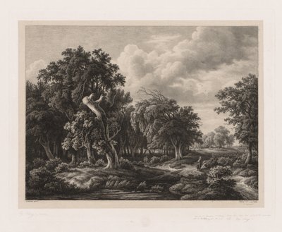 自然の後に描かれたさまざまな植物のグループ：No. 7、1855。 作： Eugene Bléry