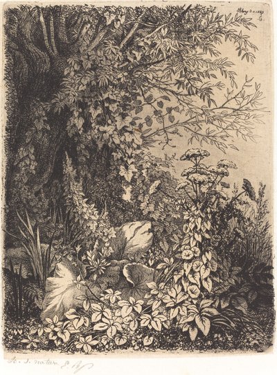 La bardane au saule Burdock with Willow、1849 年発行。 作： Eugene Bléry