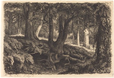 根のある木、1849 年発行。 作： Eugene Bléry