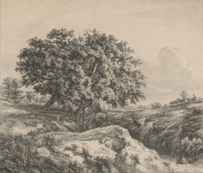 峡谷の樫の木、1845年。 作： Eugene Bléry
