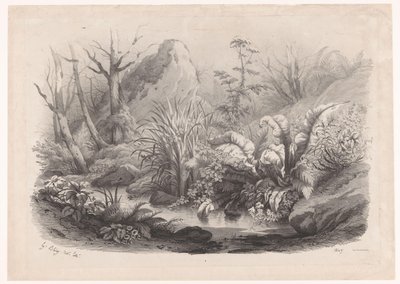 Oeverplanten bij een ビーク 多様なプランテン（連載タイトル） 自然に描かれ、リトグラフされたさまざまな植物の群れ（シリーズタイトル） 作： Eugene Bléry