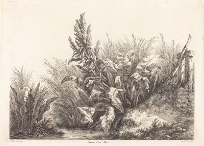 忍耐ドー、忍耐ドックの研究、1840年。 作： Eugene Bléry