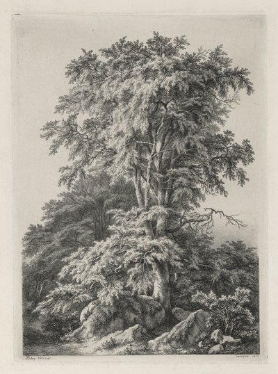 自然の後に描かれ彫刻された研究：ビーチ、フォンテンブロー...、1840年。 作： Eugene Bléry