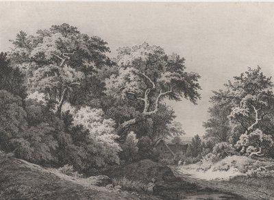 ランブイエ近くの森の端、1860年。 作： Eugene Bléry