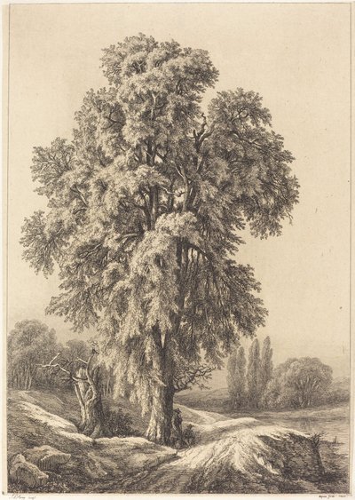 ニレの木、1840年。 作： Eugene Bléry