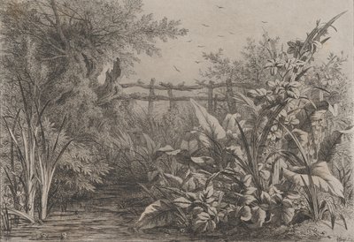 池、1857年。 作： Eugene Bléry