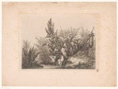 Waterzuring en riet aan de oever 小弁での水我慢 自然から描かれ刻まれた研究 (...) (シリーズタイトル) 作： Eugene Bléry