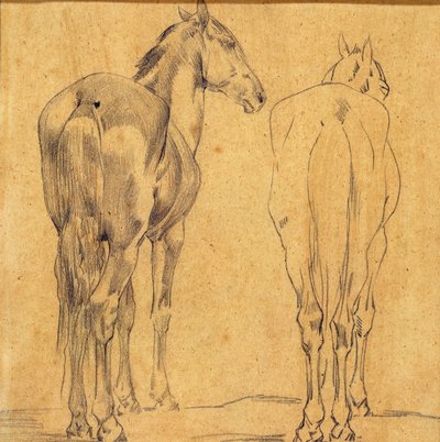  作： Eugène Fromentin