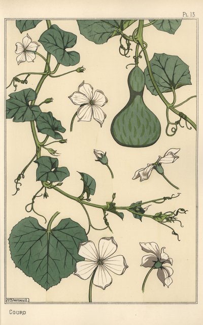 ヒョウタンの植物図鑑 作： Eugene Grasset