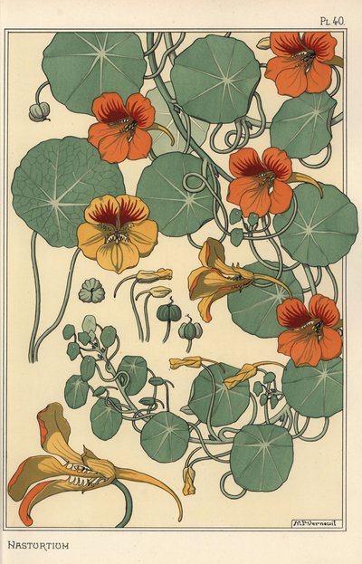 ナスタチウムの植物学的研究 作： Eugene Grasset