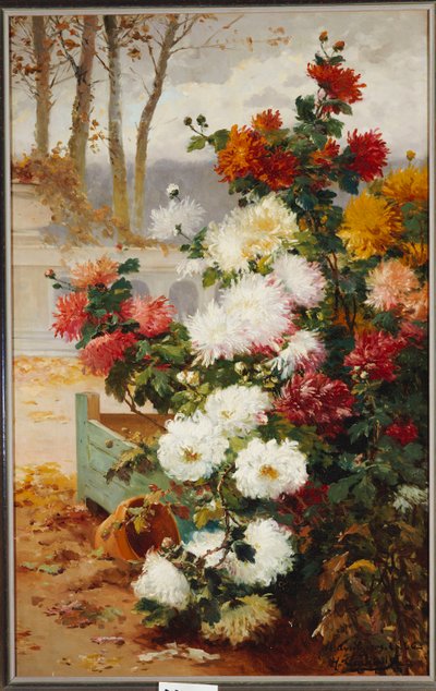 城壁に囲まれた庭の菊 作： Eugene Henri Cauchois