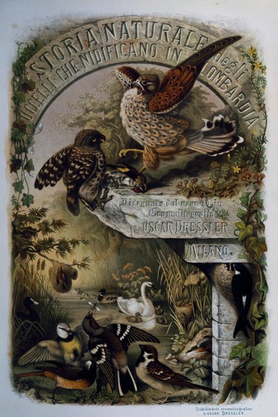 エウジェニオ・ベットーニ（1845-1898）著『ロンバルディアに営巣する鳥類の自然史』のタイトルページ、オスカー・ドレスラーの彫刻、イタリア 作： Eugenio Bettoni, Oscar Dressler