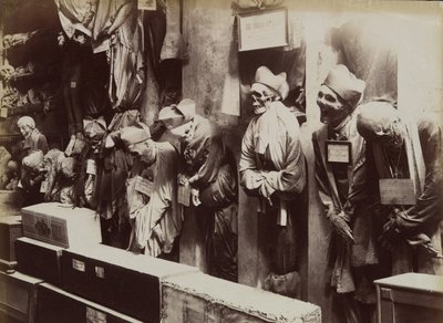 カタコンベ、カプチン修道院、パレルモ、カリフォルニア州。 1895年。 作： Eugenio Interguglielmi