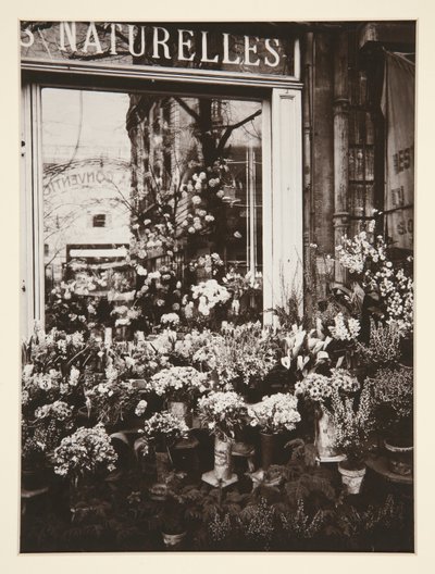 花屋-37 (花屋) 作： Eugène Atget