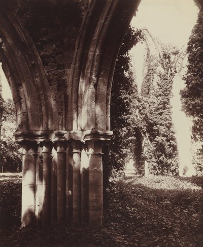 ダンマリー・レ・リス、遺跡 作： Eugène Atget