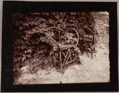 ホップ 作： Eugène Atget