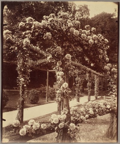 [バガテル庭園］ 作： Eugène Atget