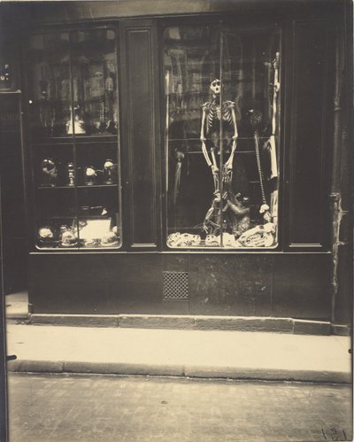 ナチュラリスト、医科大学通り 作： Eugène Atget