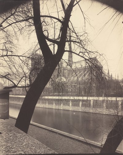 私たちの女性 作： Eugène Atget