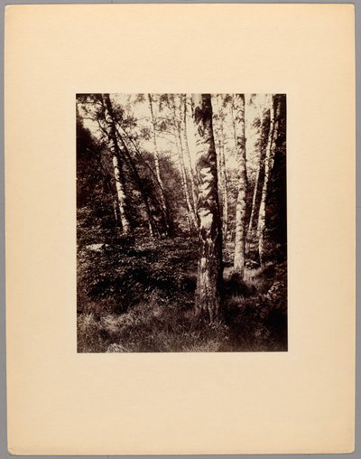 サンクルー公園 作： Eugène Atget