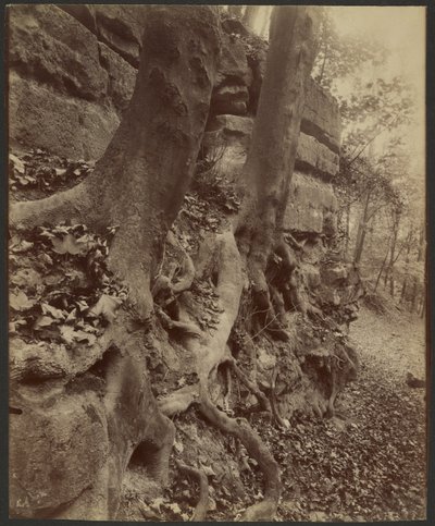サンクルー公園 作： Eugène Atget