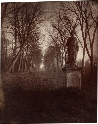 ソー公園 作： Eugène Atget