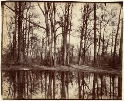 サン＝クルー 作： Eugène Atget