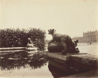 ベルサイユ、フォンテーヌ デュ ポワン デュ ジュール、ウーゾー作「熊を殺す虎」、1903 年。 作： Eugène Atget
