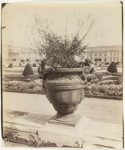 ベルサイユ、バリンの花瓶、1902 年。 作： Eugène Atget