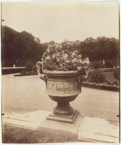 ベルサイユ、バリンの花瓶、1902 年。 作： Eugène Atget