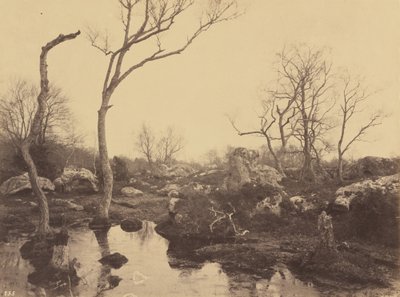 美しい十字架、c。 1858年。 作： Eugène Cuvelier
